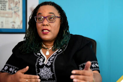 PNP Rejects Government’s Creative Institute Plan — Calls for Strengthening Edna Manley College Instead