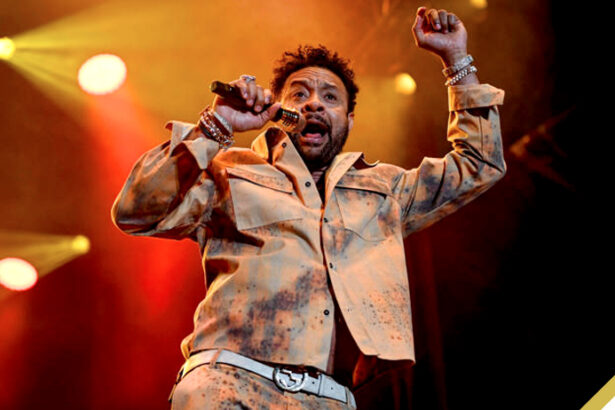 Shaggy Working on New Stage Musical About His Life Following Success with Sting in Acclaimed Production The Last Ship