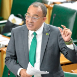 Government Considering Child Grants, Tax Breaks, Extend Leave and Mortgage Support to Boost Jamaica’s Birth Rate