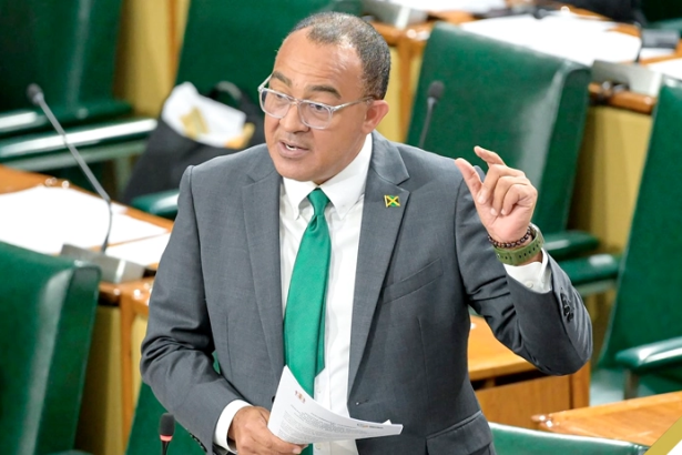 Government Considering Child Grants, Tax Breaks, Extend Leave and Mortgage Support to Boost Jamaica’s Birth Rate